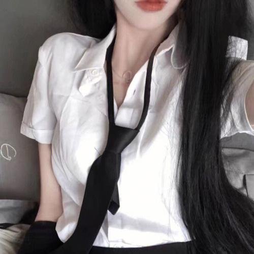 寻秦记国语
